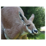 (image for) Natur Foam Kangaroo