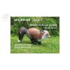 (image for) Natur Foam Red Fox (running)