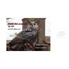 (image for) Natur Foam Eagle-Owl with Prey