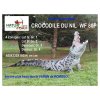 (Bild für) Natur Foam Krokodil