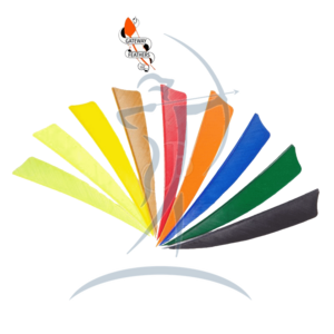 Gateway Naturfeder 4" RW (Shield)