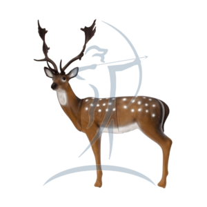 SRT Fallow Deer