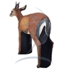 Asen/Wildcrete 3D Duiker - Antelope