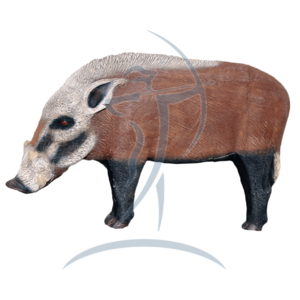 Asen/Wildcrete 3D Buschschwein (groß)