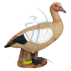 Asen/Wildcrete 3D Egyptian Goose