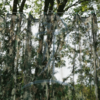 Bearpaw Dura Pfeilfangnetz Camo (2,7m x 3m)
