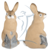 3D-Int Bunny (Häschen)