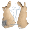 3D-Int Bunny (Häschen)