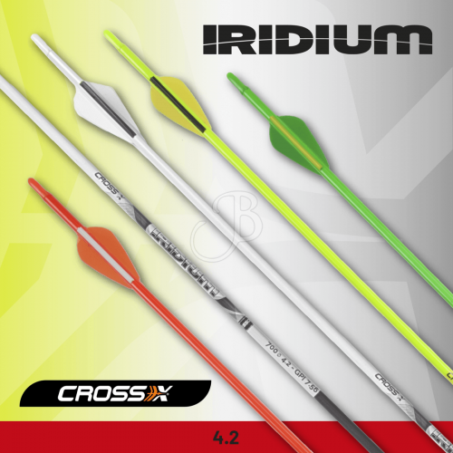 Cross-X Iridium Carbon Arrow with Vanes - ready to shoot (4.2)