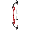 Topoint Breth V2 Compoundbogen