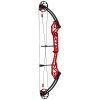 Topoint Breth V2 Compoundbogen