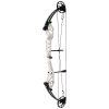 Topoint Breth V2 Compoundbogen