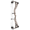Bowtech Proven 34 Compound Bogen