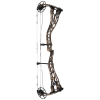 Bowtech Proven 34 Compound Bogen