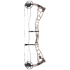 Bowtech Proven 34 Compound Bogen