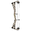 Bowtech Proven 34 Compound Bogen