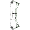 Bowtech Proven 34 Compound Bogen