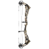 Bowtech Proven 34 Compound Bogen