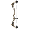 Bowtech Proven 34 Compound Bogen