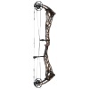 Bowtech Proven 34 Compound Bogen