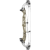 Hoyt Concept XTS 37 Compound Bogen