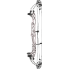 Hoyt Concept XTS 37 Compound Bogen