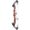 Hoyt Concept XTS 37 Compound Bogen