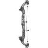 Hoyt Concept XTS 37 Compound Bogen