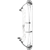 Hoyt Concept XTS 37 Compound Bogen