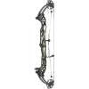 Hoyt Concept XTS 37 Compound Bogen