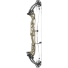 Hoyt Concept XTS 37 Compound Bogen