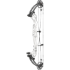 Hoyt Concept XTS 34 Compound Bogen