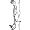 Hoyt Concept XTS 34 Compound Bogen