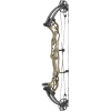 Hoyt Concept XTS 34 Compound Bogen