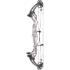 Hoyt Concept XTS 34 Compound Bogen