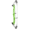 Hoyt Concept XTS 40 LD Compound Bogen