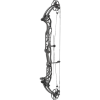 Hoyt Concept XTS 40 LD Compound Bogen