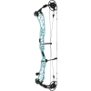 Elite Victra 40 Compound Bow