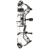 Bear Resilient RTH Compound Package