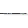 Core Zeal Carbon Fertigpfeil (schussfertig) 6.2mm