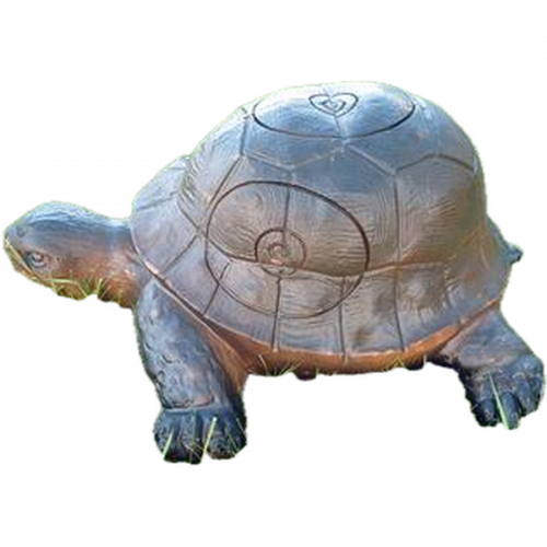 Wild Life Turtle