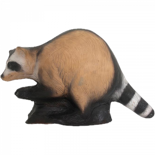 Wild Life Raccoon