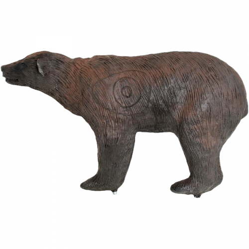 Wild Life Black Bear