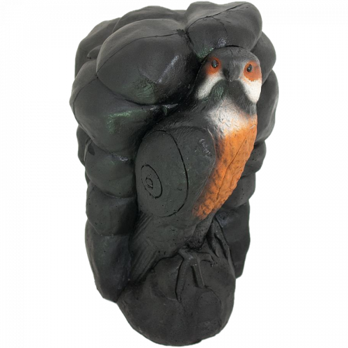 Wild Life Falcon