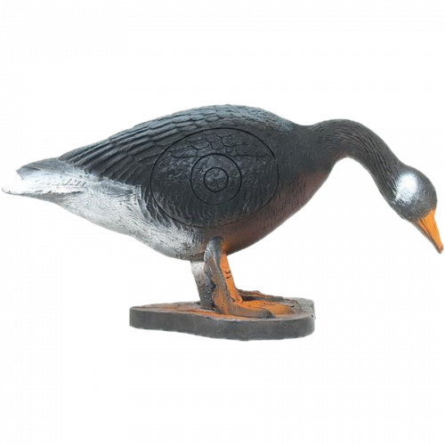 Wild Life Canadian Goose (drinking)