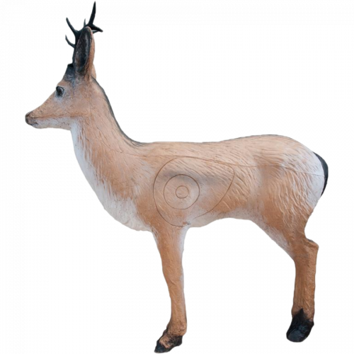 Wild Life Roe Deer (alerted)