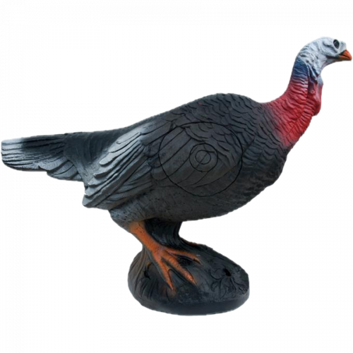 Wild Life Turkey (alerted)