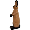 Wild Life Hare