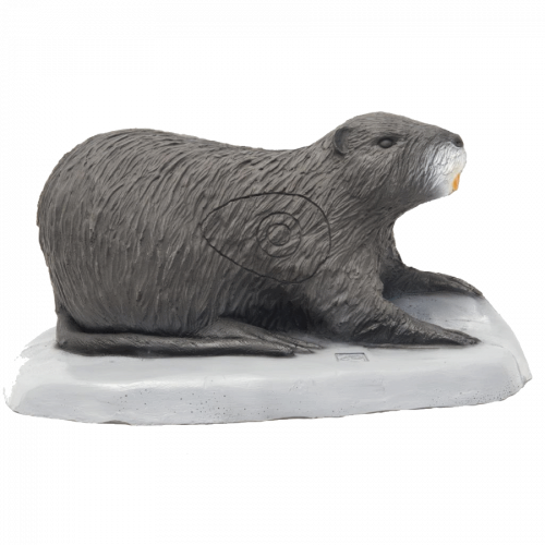 SRT Coypu (Nutria)