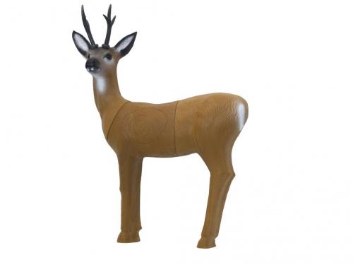 SRT Roebuck standing